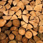 Как выбрать древесину для дров?